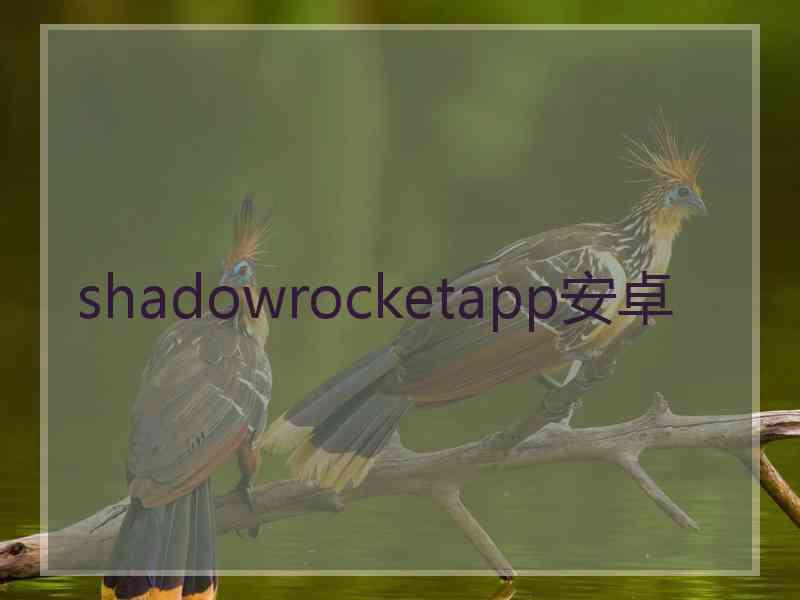 shadowrocketapp安卓