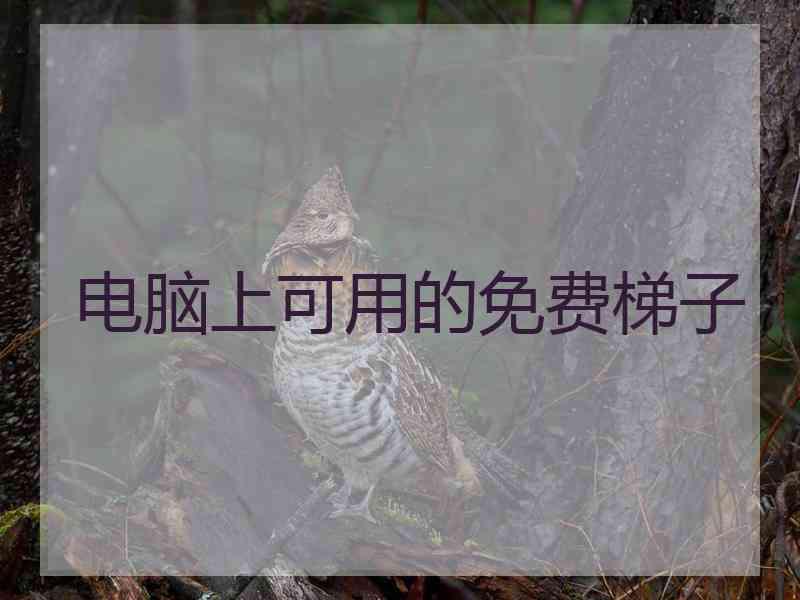 电脑上可用的免费梯子