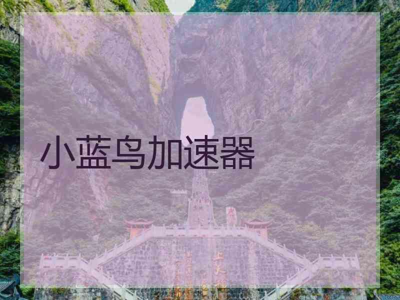 小蓝鸟加速器