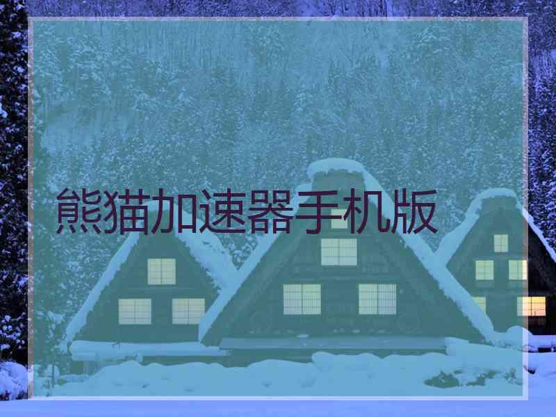 熊猫加速器手机版