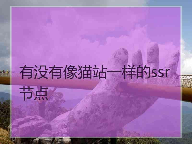 有没有像猫站一样的ssr节点