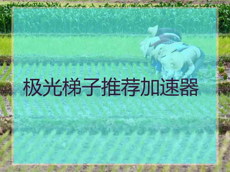 极光梯子推荐加速器