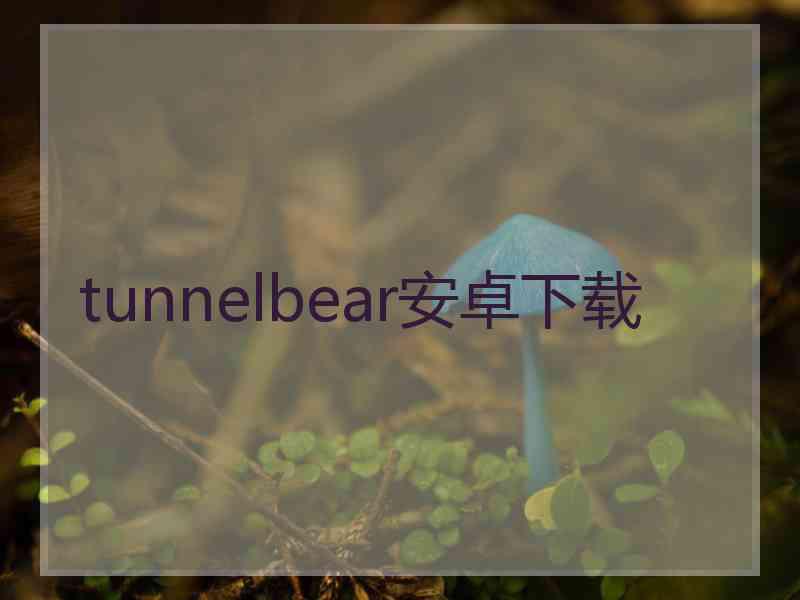 tunnelbear安卓下载