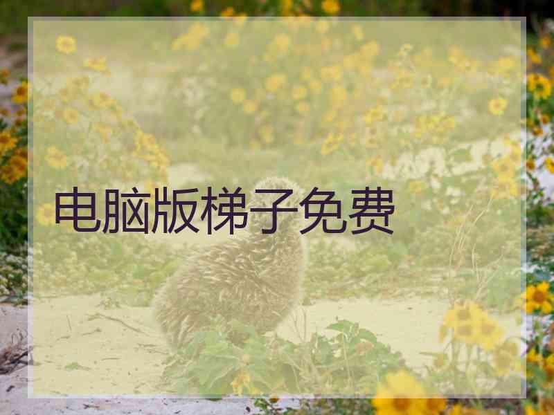 电脑版梯子免费