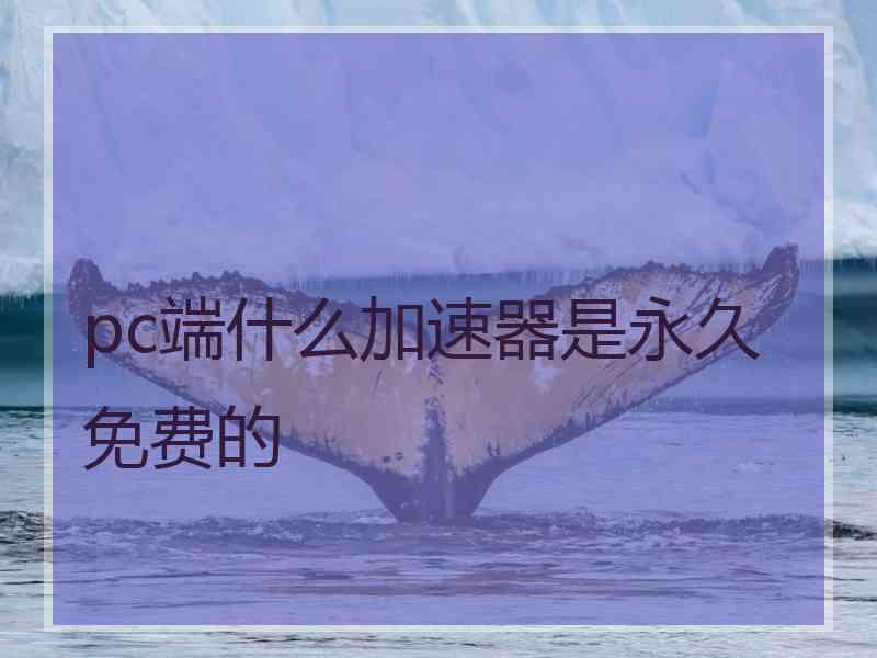 pc端什么加速器是永久免费的