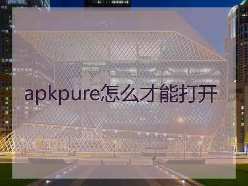 apkpure怎么才能打开