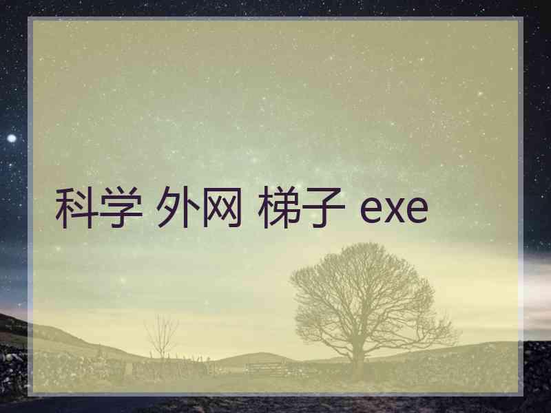科学 外网 梯子 exe