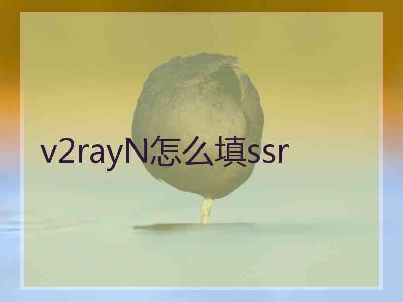 v2rayN怎么填ssr
