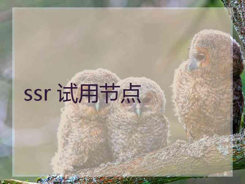 ssr 试用节点