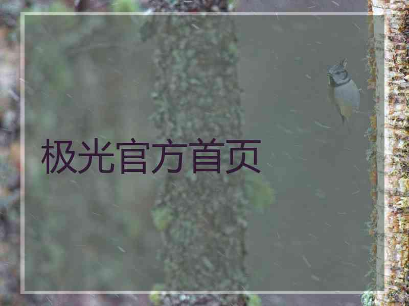 极光官方首页