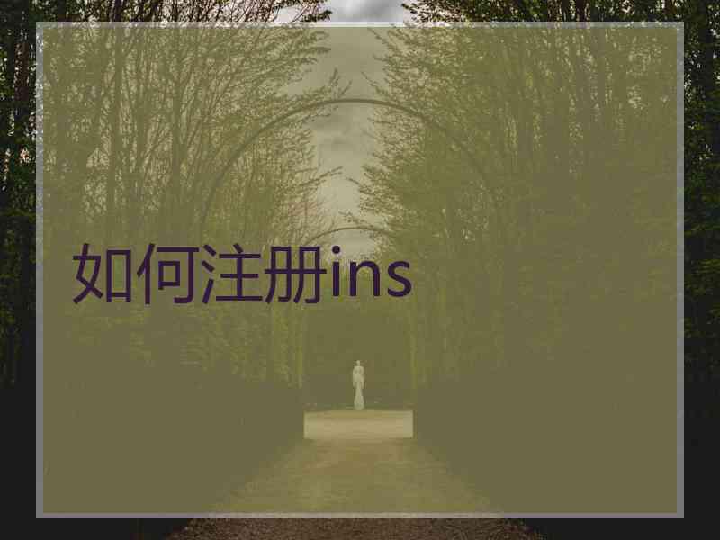 如何注册ins