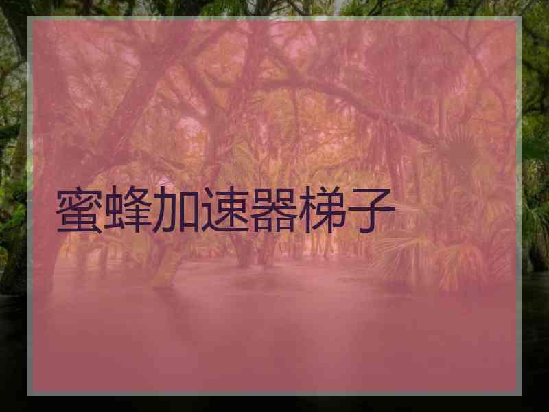蜜蜂加速器梯子