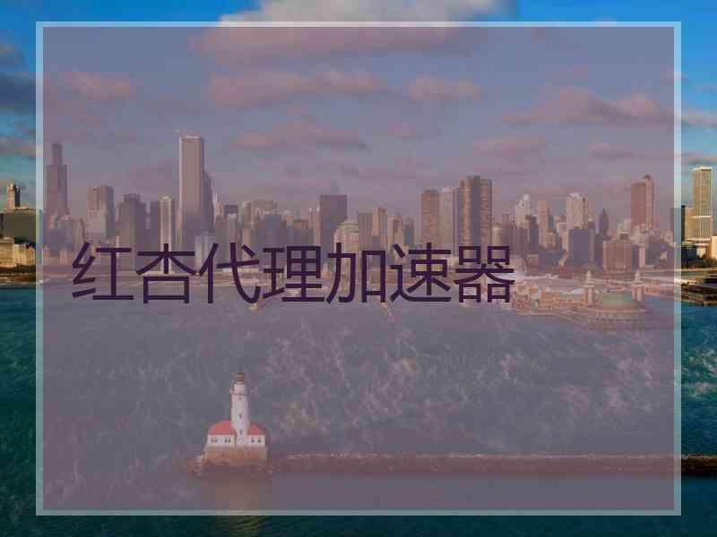 红杏代理加速器