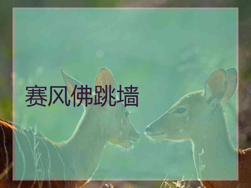 赛风佛跳墙