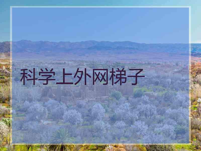 科学上外网梯子