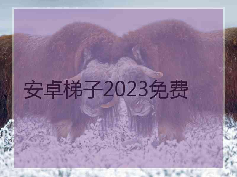 安卓梯子2023免费