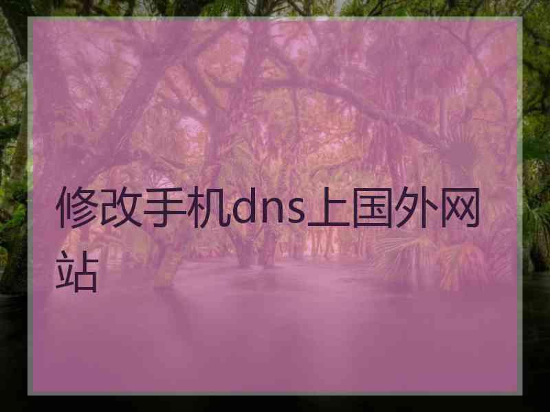 修改手机dns上国外网站