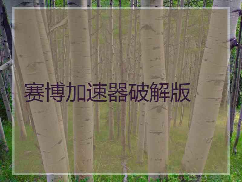 赛博加速器破解版