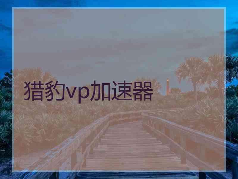 猎豹vp加速器