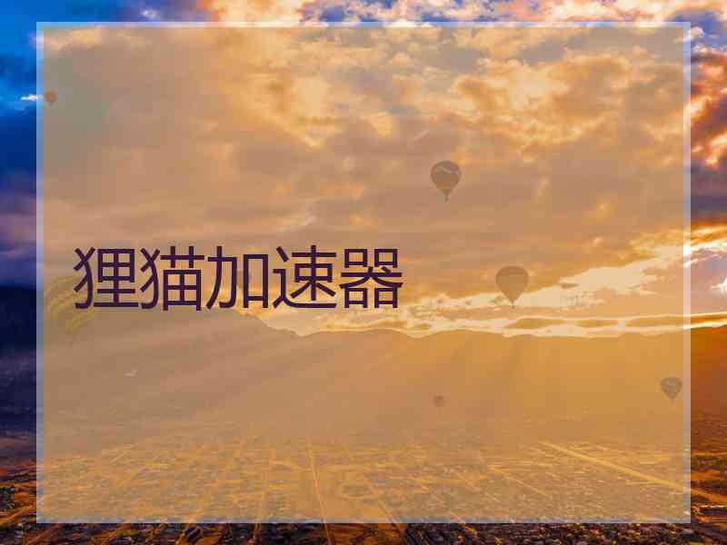 狸猫加速器