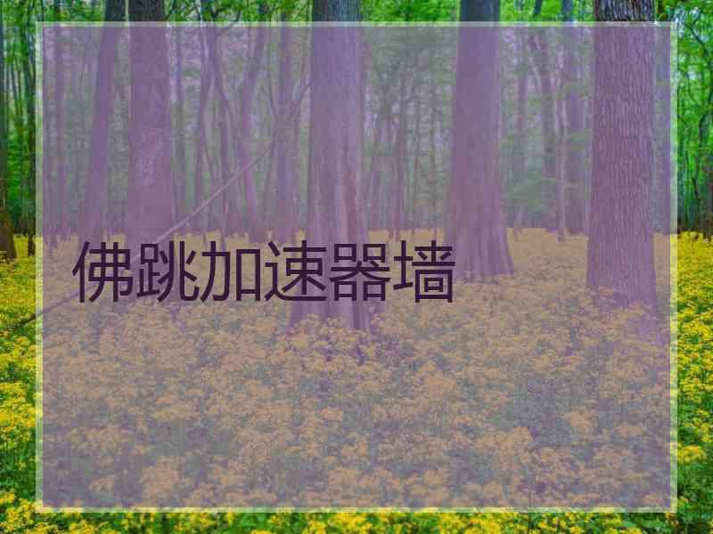 佛跳加速器墙