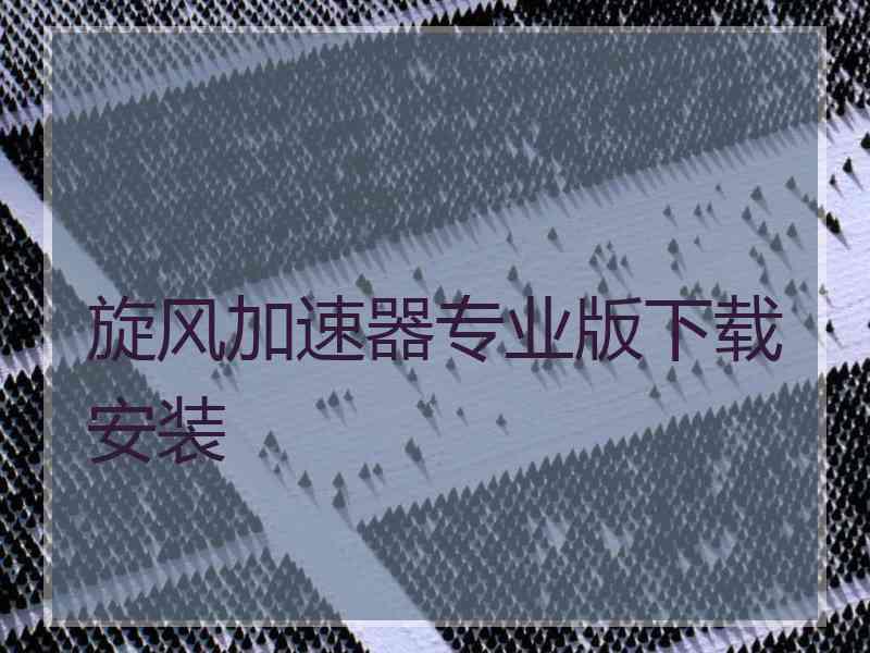 旋风加速器专业版下载安装